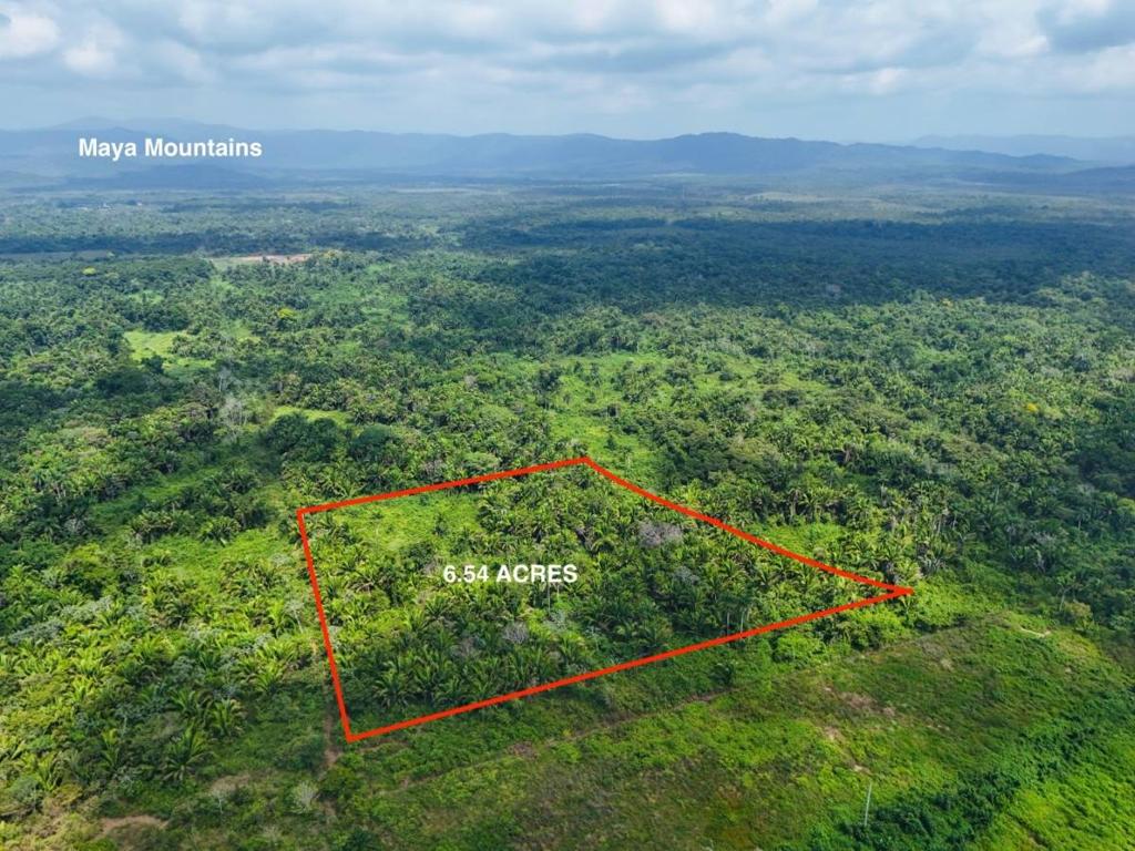 listing image with ID 63842