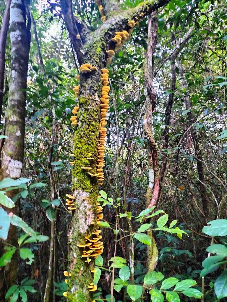 listing image with ID 64766