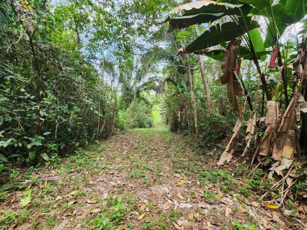 listing image with ID 64907