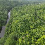 listing image thumbnail with ID 65622