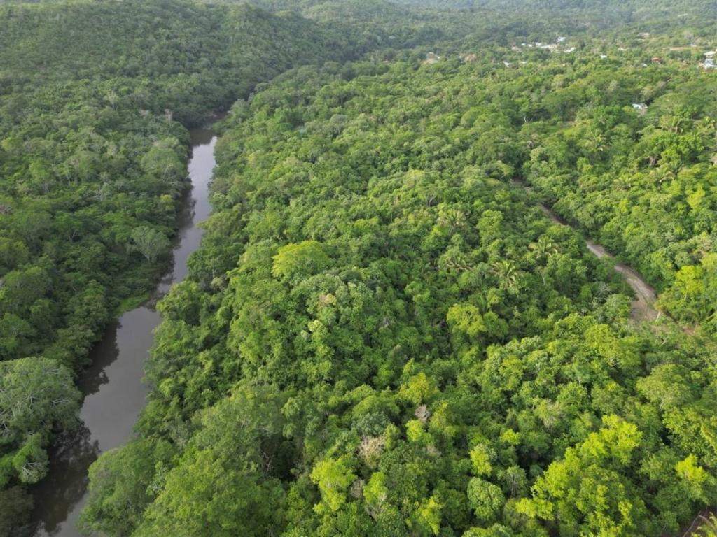 listing image with ID 65622