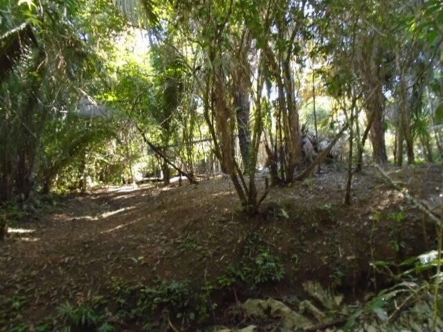 listing image with ID 64071