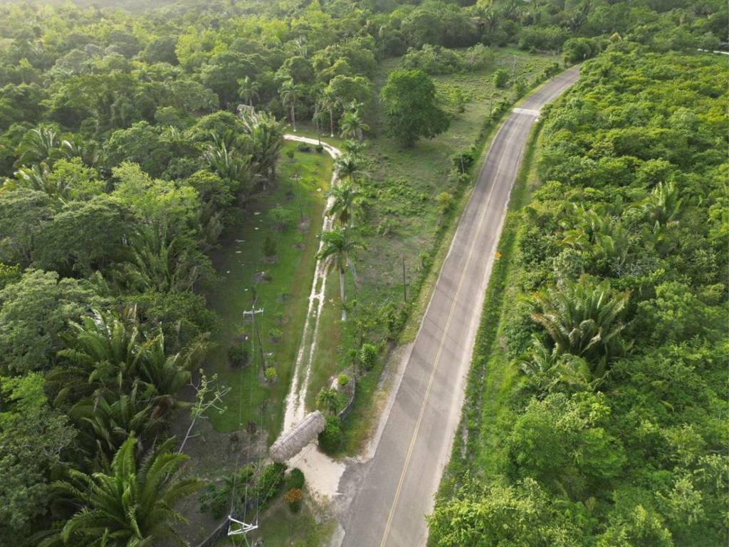 listing image with ID 65623