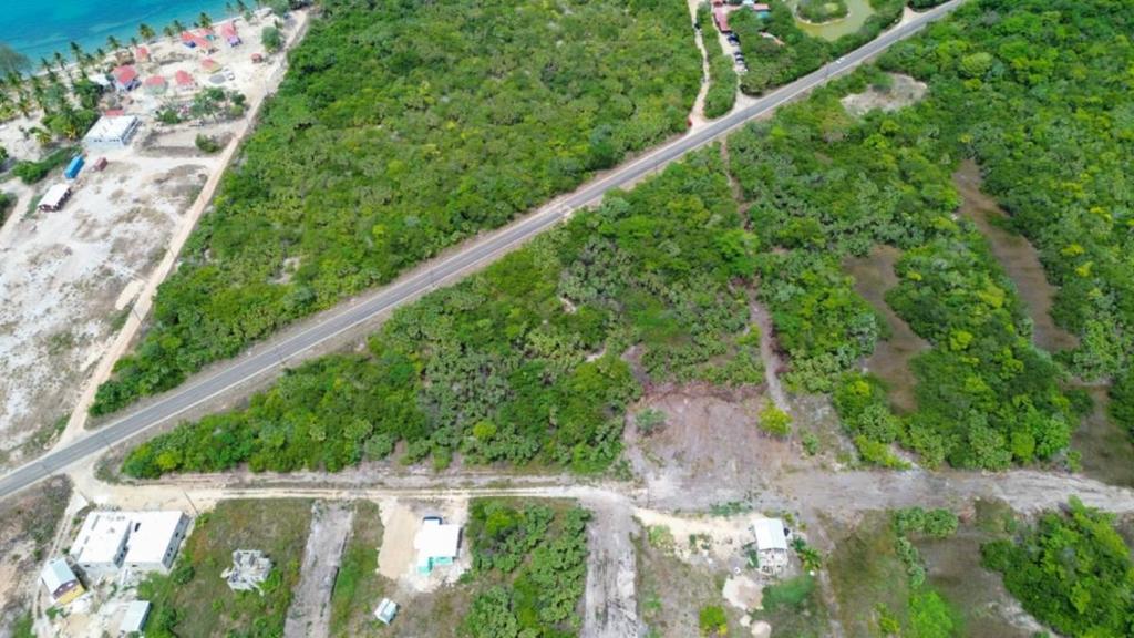 listing image with ID 66242