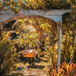 listing image thumbnail with ID 63793