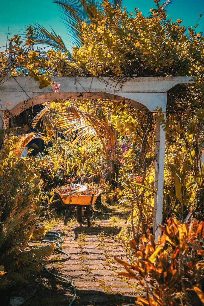 listing image with ID 63793