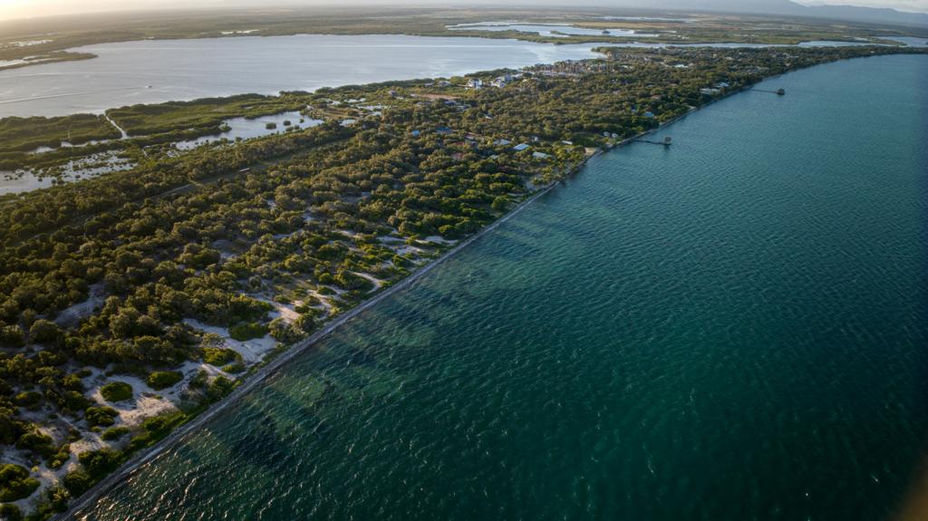 listing image with ID 68728