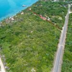 listing image thumbnail with ID 65331