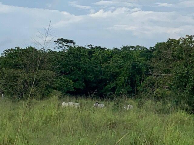 listing image with ID 65028