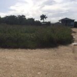 listing image thumbnail with ID 65919