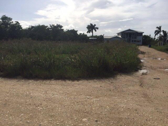 listing image with ID 65919