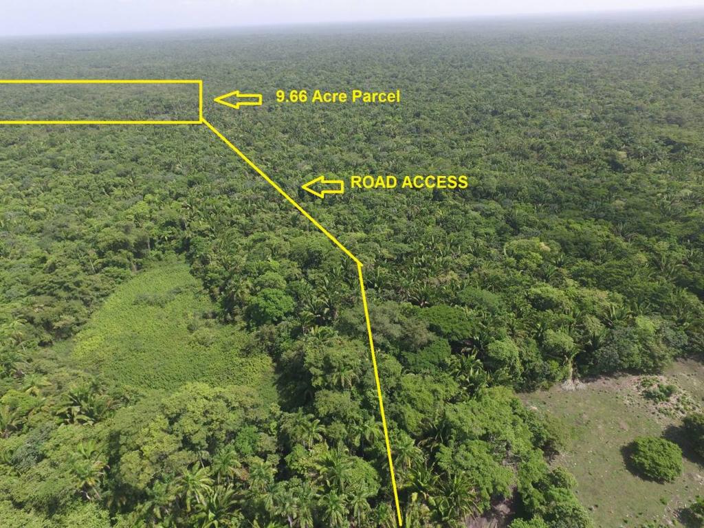 listing image with ID 67304