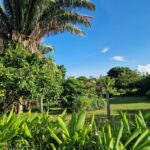 listing image thumbnail with ID 67193