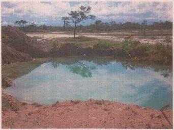 listing image with ID 65722