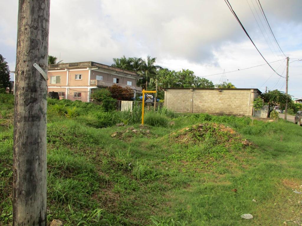 listing image with ID 64169