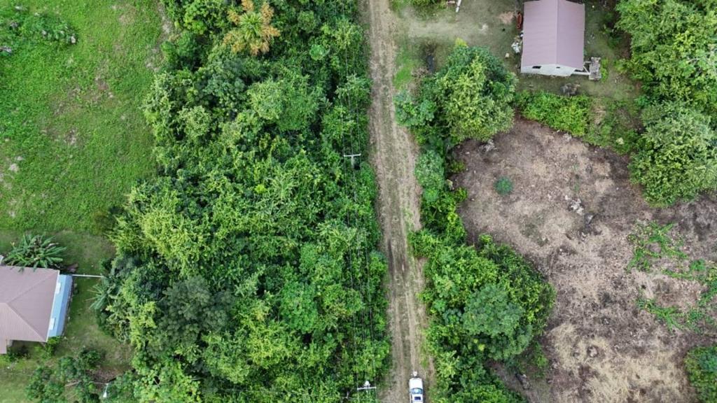 listing image with ID 68220