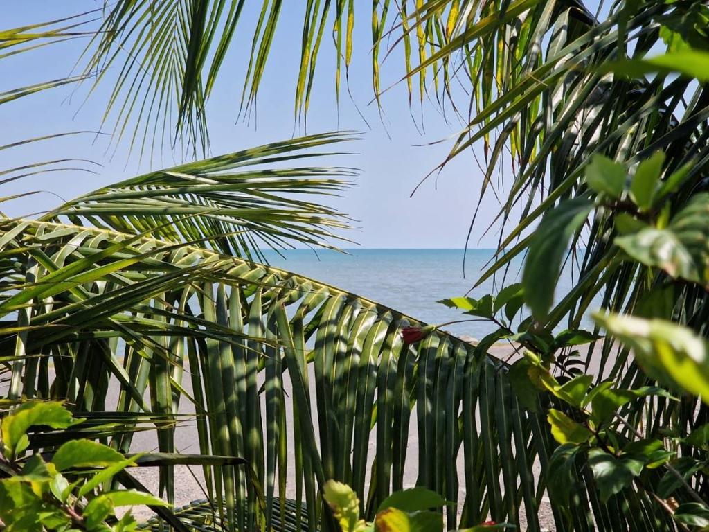 listing image with ID 65312