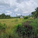 listing image thumbnail with ID 68240