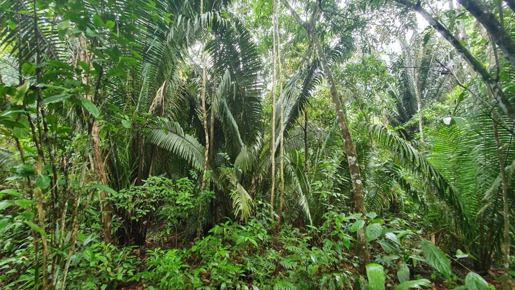 listing image with ID 66274