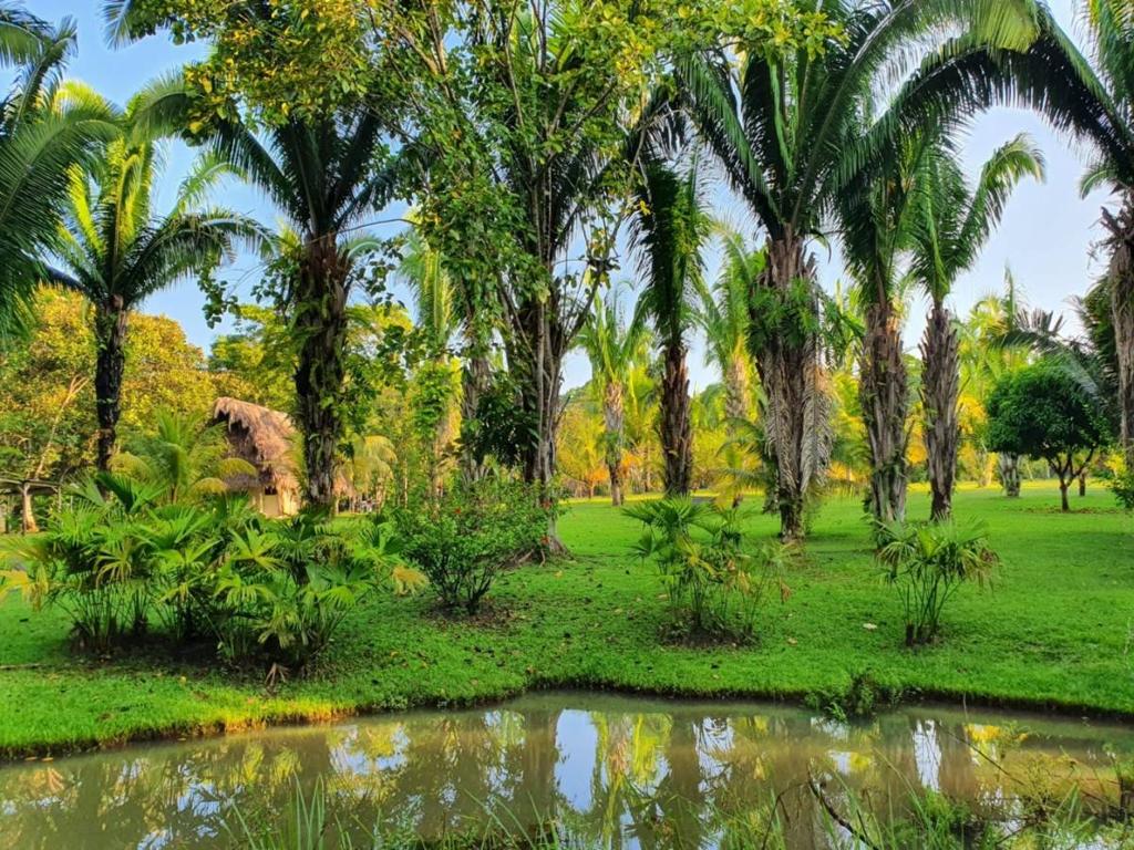 listing image with ID 67777