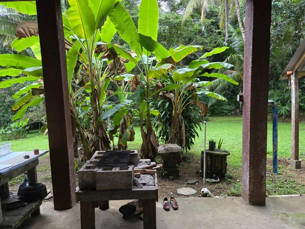 listing image with ID 65276