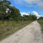 listing image thumbnail with ID 63989