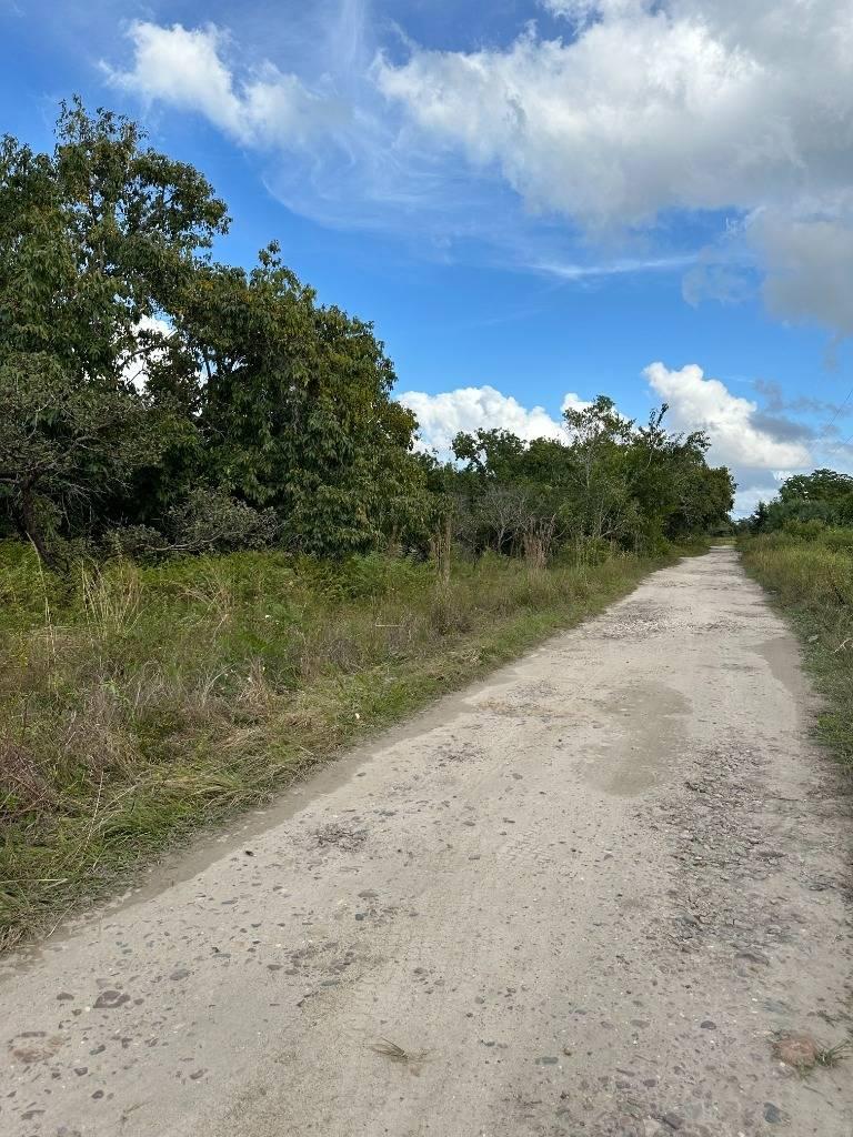 listing image with ID 63989