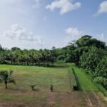 listing image thumbnail with ID 65411