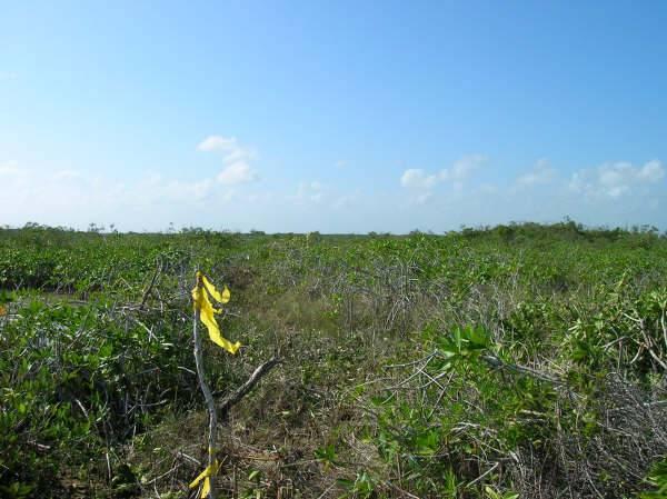 listing image with ID 68104