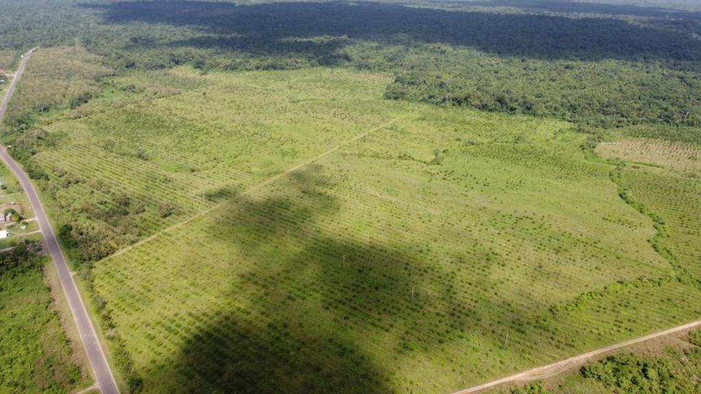 listing image with ID 68134