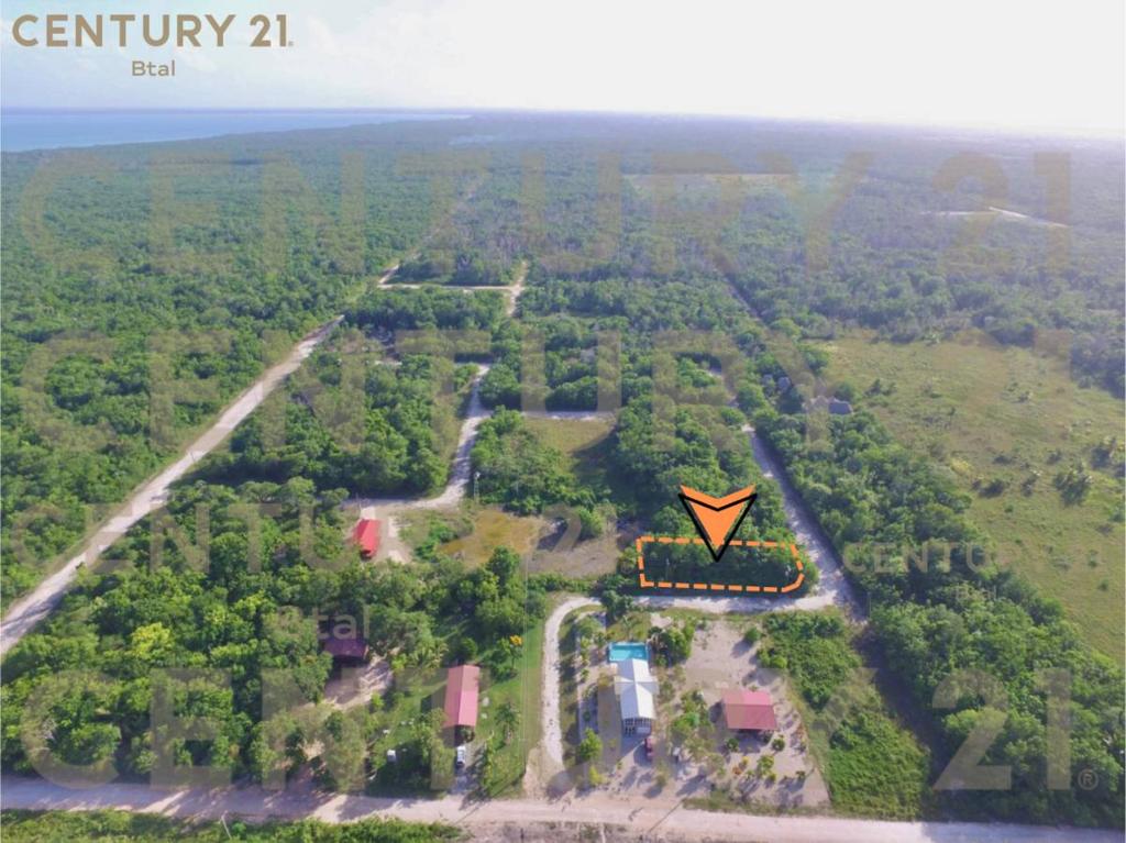 listing image with ID 63661