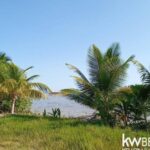 listing image thumbnail with ID 68443