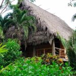 listing image thumbnail with ID 65520