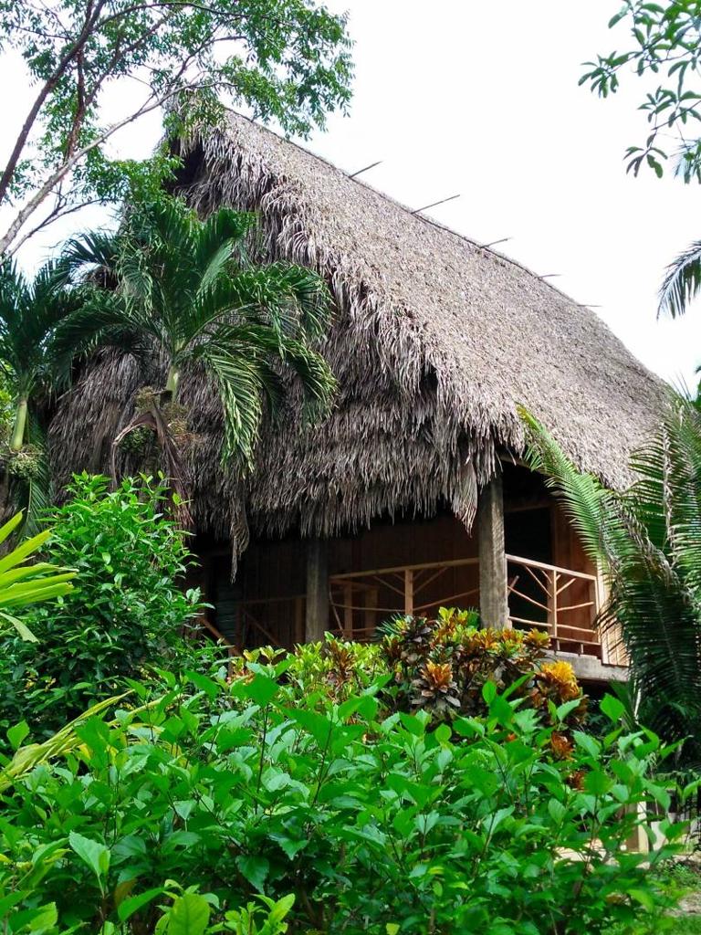 listing image with ID 65520