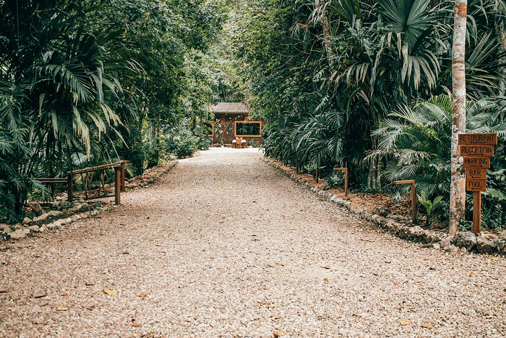 listing image with ID 68523