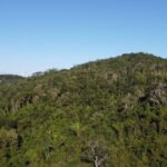 listing image thumbnail with ID 67771