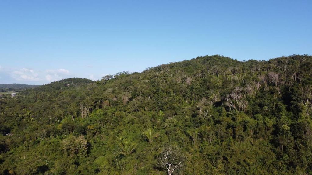 listing image with ID 67771