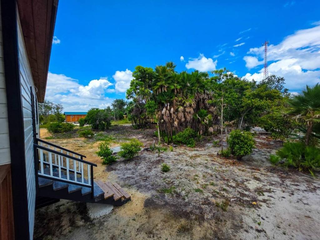 listing image with ID 65810