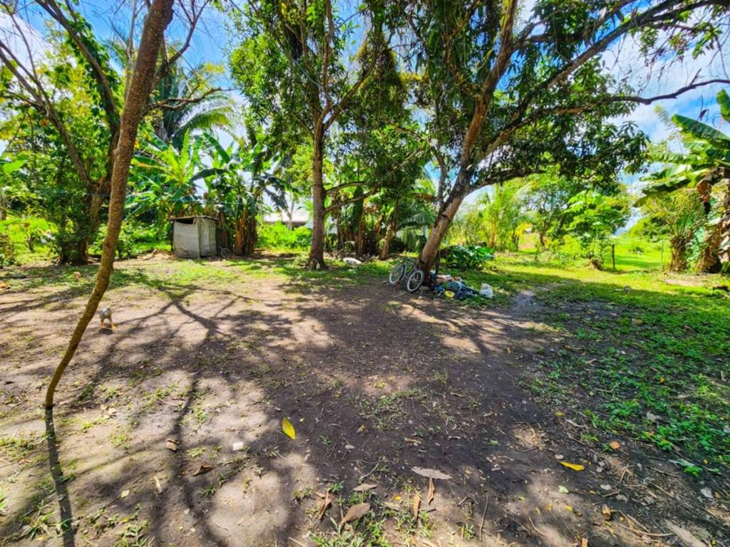 listing image with ID 64393