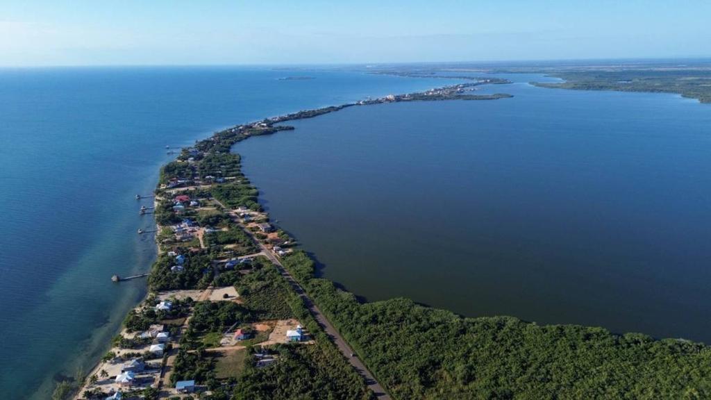 listing image with ID 67826