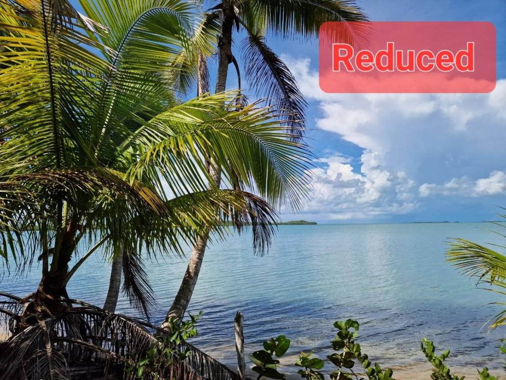 listing image with ID 64484