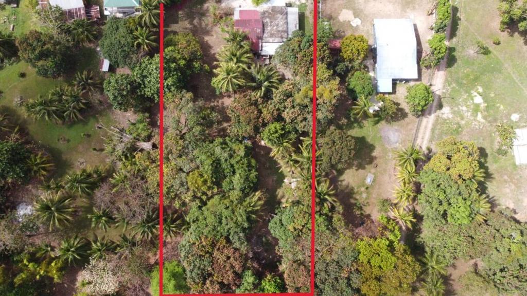 listing image with ID 67980