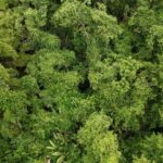 listing image thumbnail with ID 66661