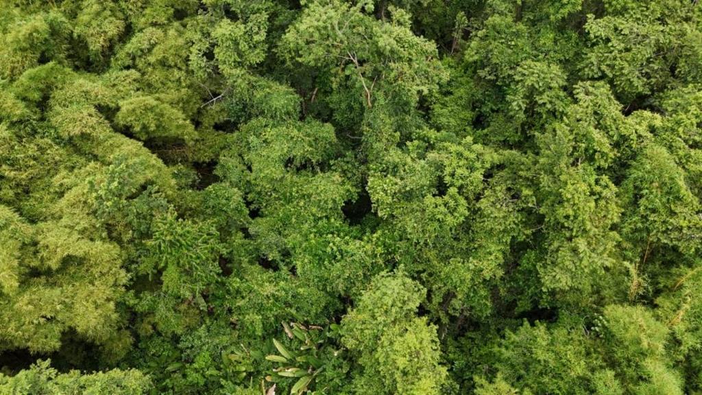 listing image with ID 66661