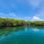 listing image thumbnail with ID 65843