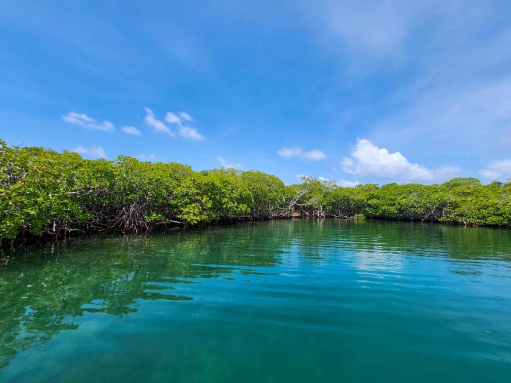 listing image with ID 65843