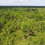 listing image thumbnail with ID 63961