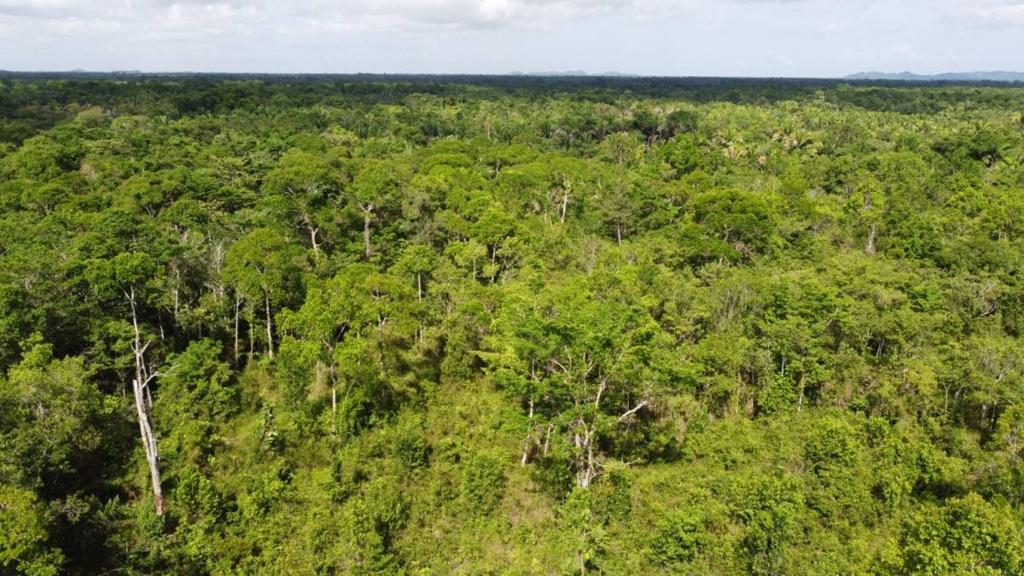 listing image with ID 63961