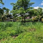 listing image thumbnail with ID 67504