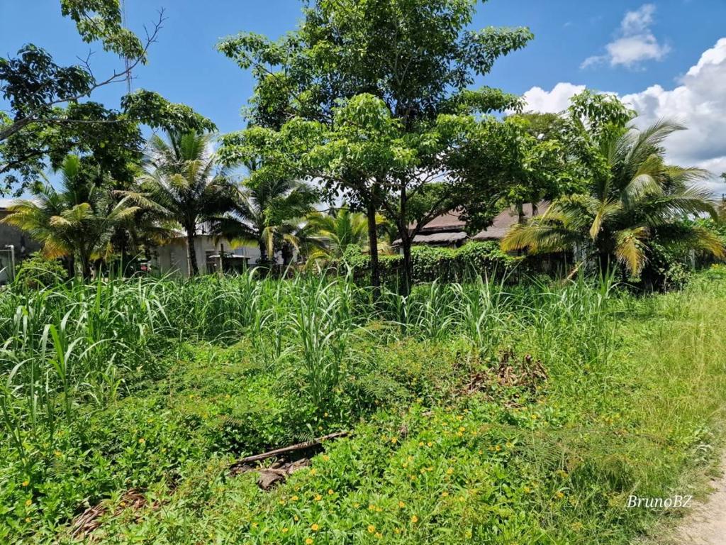 listing image with ID 67504